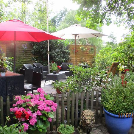 Apartement De Vacances Alsace - Ferienwohnung Elsass - Holiday Apartment Alsace Bischwiller Exteriör bild