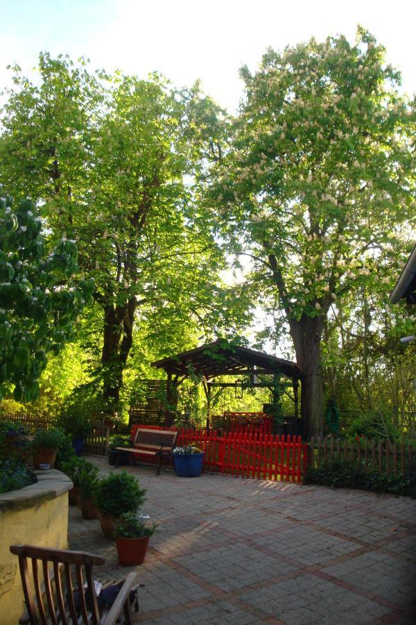 Apartement De Vacances Alsace - Ferienwohnung Elsass - Holiday Apartment Alsace Bischwiller Exteriör bild