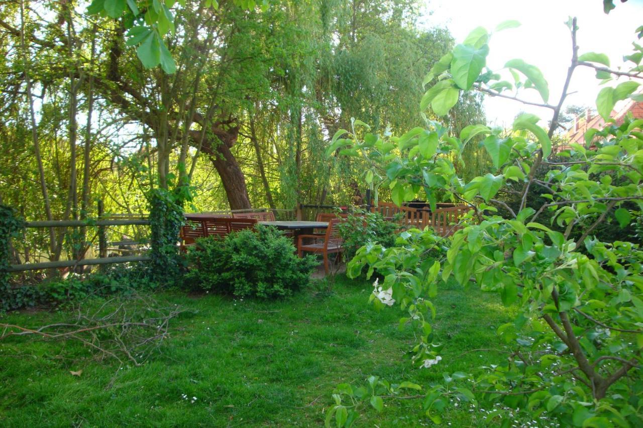Apartement De Vacances Alsace - Ferienwohnung Elsass - Holiday Apartment Alsace Bischwiller Exteriör bild