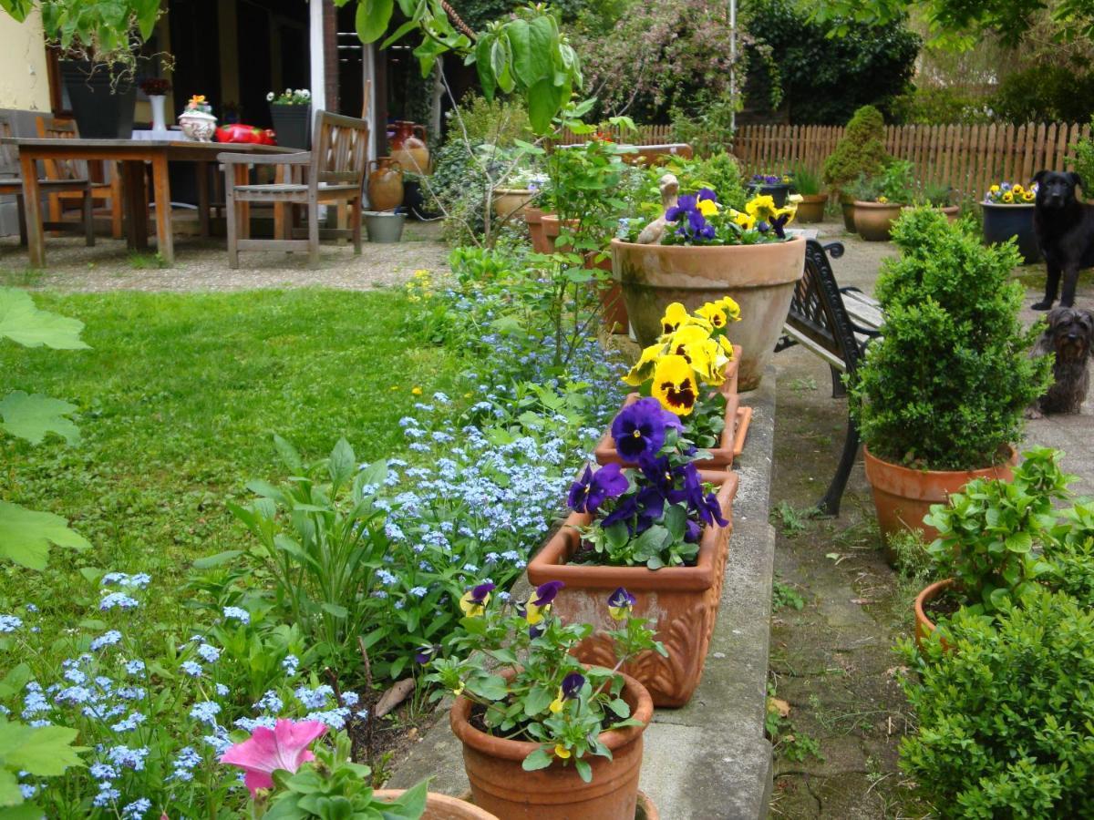 Apartement De Vacances Alsace - Ferienwohnung Elsass - Holiday Apartment Alsace Bischwiller Exteriör bild